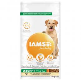 IAMS Advanced Nutrition Adult Large Dog mit Huhn - Sparpaket: 2 x 12 kg