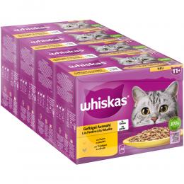 Angebot für Jumbopack Whiskas Senior Frischebeutel 144 x 85 g - 11+ Geflügelauswahl in Gelee - Kategorie Katze / Katzenfutter nass / Whiskas / Whiskas Senior.  Lieferzeit: 1-2 Tage -  jetzt kaufen.