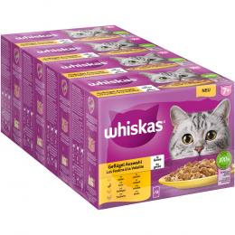 Angebot für Jumbopack Whiskas Senior Frischebeutel 144 x 85 g - 7+ Geflügelauswahl in Gelee - Kategorie Katze / Katzenfutter nass / Whiskas / Whiskas Senior.  Lieferzeit: 1-2 Tage -  jetzt kaufen.