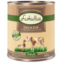 Angebot für Lukullus Naturkost Adult Getreidefrei 6 x 800 g Ente & Kalb - Kategorie Hund / Hundefutter nass / Lukullus Naturkost / Lukullus Getreidefrei.  Lieferzeit: 1-2 Tage -  jetzt kaufen.
