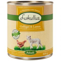 Angebot für Lukullus Naturkost Adult Getreidefrei 6 x 800 g Geflügel & Lamm - Kategorie Hund / Hundefutter nass / Lukullus Naturkost / Lukullus Getreidefrei.  Lieferzeit: 1-2 Tage -  jetzt kaufen.