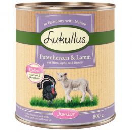 Angebot für Lukullus Naturkost Junior 6 x 800 g Putenherzen & Lamm - Kategorie Hund / Hundefutter nass / Lukullus Naturkost / Lukullus Junior für Welpen und Junghunde.  Lieferzeit: 1-2 Tage -  jetzt kaufen.