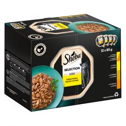 Angebot für Multipack Sheba Varietäten Schälchen 12 x 85 g - Selection in Sauce (Huhn & Truthahn; Huhn; Geflügel; Truthahn) - Kategorie Katze / Katzenfutter nass / Sheba / Schale.  Lieferzeit: 1-2 Tage -  jetzt kaufen.