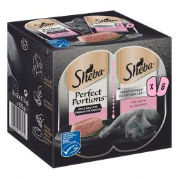Angebot für Sheba Perfect Portions 48 x 37,5 g - Pastete mit Lachs - Kategorie Katze / Katzenfutter nass / Sheba / Perfect Portions.  Lieferzeit: 1-2 Tage -  jetzt kaufen.