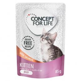 Angebot für Sparpaket Concept for Life getreidefrei 48 x 85 g - Kitten Lachs - in Gelee - Kategorie Katze / Katzenfutter nass / Concept for Life / Concept for Life Sparpakete.  Lieferzeit: 1-2 Tage -  jetzt kaufen.