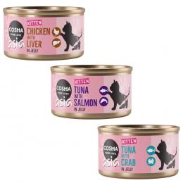 Sparpaket Cosma Asia Kitten in Jelly 24 x 85 g Mixpack