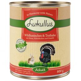 Angebot für Sparpaket Lukullus Naturkost 24 x 800 g - Adult  Wildkaninchen & Truthahn - Kategorie Hund / Hundefutter nass / Lukullus Naturkost / Lukullus Sparpakete.  Lieferzeit: 1-2 Tage -  jetzt kaufen.