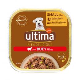 Ultima Fit & Delicious Paté Mini Hund 22 x 150 g - Rind