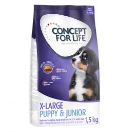 1 kg / 1,5 kg Concept for Life zum Sonderpreis! - 1,5 kg X-Large Puppy & Junior