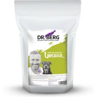 1 kg | Dr. Berg Tiernahrung | Lamm und Kartoffel Urfleisch | Trockenfutter | Hund