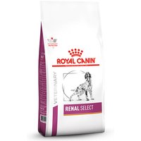 10 kg | Royal Canin Veterinary Diet | Renal Select Canine | Trockenfutter | Hund