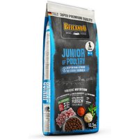 12,5 kg | Belcando | Junior GF Poultry Super Premium | Trockenfutter | Hund