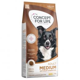 12 kg + 1,5 kg gratis! 13 ,5 kg Concept for Life  - Labrador Retriever Adult