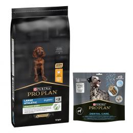 12 kg PURINA PRO PLAN Puppy + passender Snack gratis! - Large Athletic Healthy Start + Dental Care für große Hunde 426 g