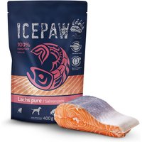 12 x 400 g | ICEPAW | Lachs pure | Nassfutter | Hund