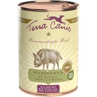 12 x 400 g | Terra Canis | Wildschwein mit Naturreis, Fenchel & Himbeeren Classic | Nassfutter | Hund
