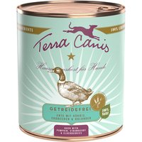 12 x 800 g | Terra Canis | Ente mit Kürbis, Erdbeeren & Holunder Getreidefrei | Nassfutter | Hund