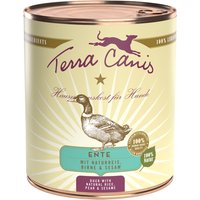 12 x 800 g | Terra Canis | Ente mit Naturreis, roter Beete, Birne & Sesam Classic | Nassfutter | Hund