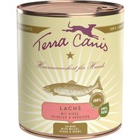 12 x 800 g | Terra Canis | Lachs mit Hirse, Pfirsich & Kräutern Classic | Nassfutter | Hund