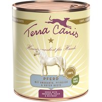 12 x 800 g | Terra Canis | Pferd mit Amaranth, Pfirsich und roter Beete Classic | Nassfutter | Hund