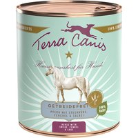 12 x 800 g | Terra Canis | Pferd mit Steckrübe, Fenchel und Salbei Getreidefrei | Nassfutter | Hund