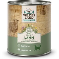 12 x 800 g | Wildes Land | Lamm mit Reis, Zucchini, Wildkräutern und Distelöl Classic Adult | Nassfutter | Hund