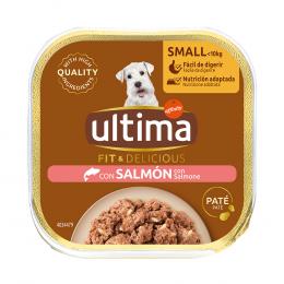 18 + 4 gratis! 22 x 150 g Ultima Fit & Delicious Paté Mini Hund - Lachs