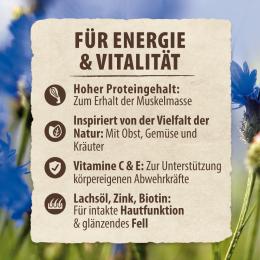 Angebot für 2,4 kg gratis! 14,4 kg Purizon Trockenfutter - getreidefrei - Lachs mit Huhn - Kategorie Hundefutter & Zubehör / Hundefutter trocken / Purizon / Probierpakete & Aktionen.  Lieferzeit: 1-2 Tage -  jetzt kaufen.