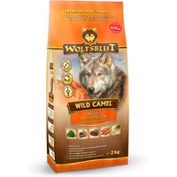 2 kg | Wolfsblut | Wild Camel - Kamel und Süßkartoffel Adult | Trockenfutter | Hund