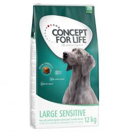 2 x 12 kg / 4 kg Concept for Life Adult zum Sonderpreis! - Large Sensitive (2 x 12 kg)
