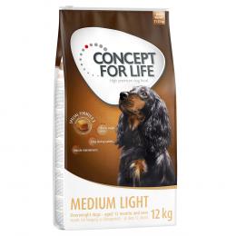 2 x 12 kg / 4 kg Concept for Life Adult zum Sonderpreis! - Medium Light (2 x 12 kg)