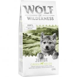 2 x 12 kg Wolf of Wilderness - JUNIOR Green Fields - Lamm