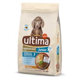 2 x Ultima Trockenfutter zum Sonderpreis! - 2 x 12 kg Medium / Maxi Junior Huhn