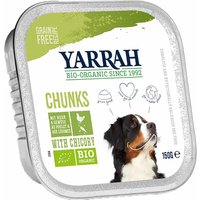 24 x 150 g | Yarrah | Bio-Bröckchen mit Huhn & Chicorée | Nassfutter | Hund