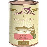 24 x 400 g | Terra Canis | Lachs mit Hirse, Pfirsich & Kräutern Classic | Nassfutter | Hund