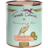 24 x 800 g | Terra Canis | Pute mit Sellerie, Kürbis & Brunnenkresse Getreidefrei | Nassfutter | Hund