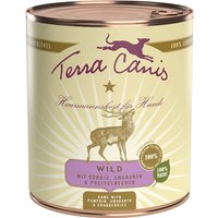 24 x 800 g | Terra Canis | Wild mit Kürbis, Preiselbeeren und Amaranth Classic | Nassfutter | Hund