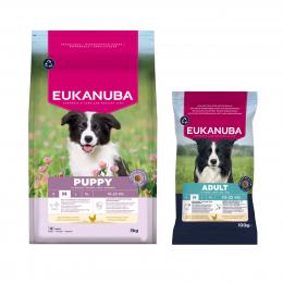 3 kg / 15 kg Eukanuba Premium Nutrition Puppy Medium Breed Huhn + 100 g Adult Medium Huhn gratis! - 3 kg