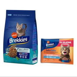 3 kg / 3,5 kg Brekkies Trockenfutter + 4 x 85 g Daily Delice Nassfutter gratis! - 3,5 kg Fisch + 4 x 85 g Lachs & Thunfisch