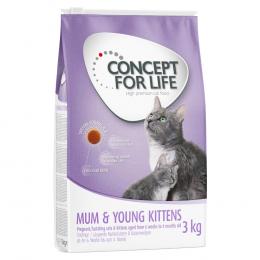 3 kg Concept for Life zum Sonderpreis! - Mum & Young Kittens 3 kg