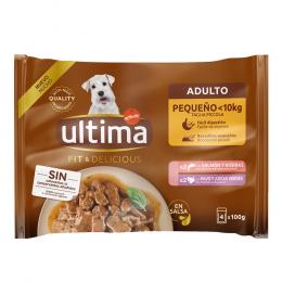36 + 8 gratis! 44 x 100 g Ultima Fit & Delicious Mini Hund Adult - Lachs & Truthahn