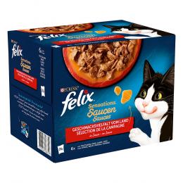38 + 10 gratis! 48 x 85 g Felix Nassfutter - 
