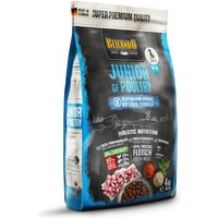 4 kg | Belcando | Junior GF Poultry Super Premium | Trockenfutter | Hund