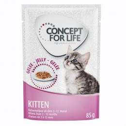 48 x 85 g Concept for Life - 10 € Rabatt! -  Kitten in Gelee                      