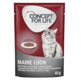 48 x 85 g Concept for Life - 10 € Rabatt! - Maine Coon Adult (Ragout-Qualität)