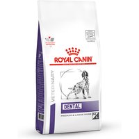 6 kg | Royal Canin Veterinary Diet | Dental Medium & Large Dogs | Trockenfutter | Hund