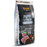 6 x 1 kg | Belcando | Puppy GF Poultry Super Premium | Trockenfutter | Hund