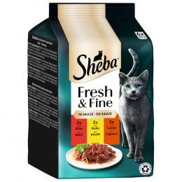 6 x 50 g Sheba Nassfutter zum Sonderpreis! - Fresh & Fine mit Rind, Huhn & Lamm in Sauce