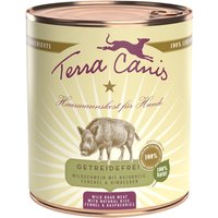 6 x 800 g | Terra Canis | Wildschwein mit Naturreis, Fenchel & Himbeeren Classic | Nassfutter | Hund