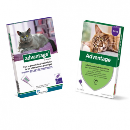 Advantage Advantage Flohprävention Und Behandlung Für Katzen Über 4